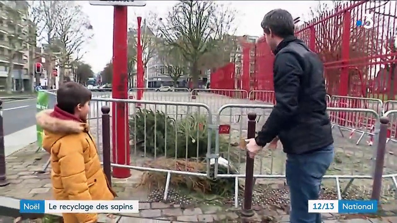 Noël : le recyclage des sapins