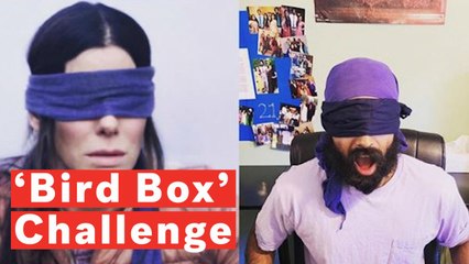 What Is The 'Bird Box' Challenge?
