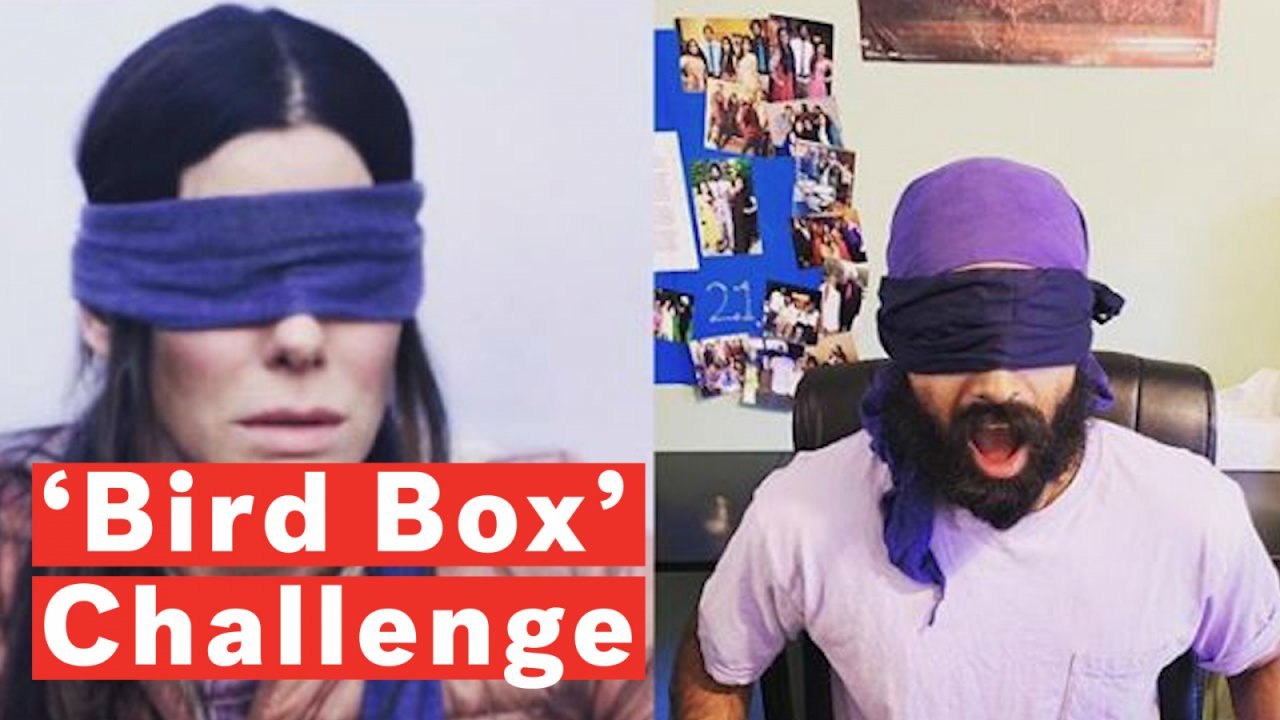 What Is The 'Bird Box' Challenge?