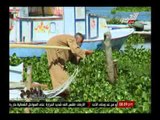 بالفيديو .. جمال الكشكى يعرض مأساة الصيادين بالمطرية والمنزلة بمحافظة الدقهلية