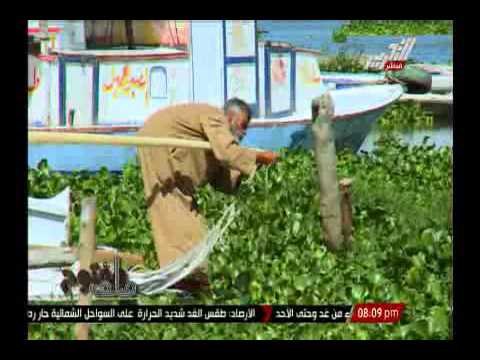 بالفيديو .. جمال الكشكى يعرض مأساة الصيادين بالمطرية والمنزلة بمحافظة الدقهلية