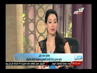 رئيس جمعية إسمع للرفق بالحيوان : تلك هى الإجراءات التى إتخذناها ضد إدارة نادى الجزيرة لقتلها للقطط