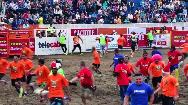 'Toros a la tica', uma tradição na Costa Rica