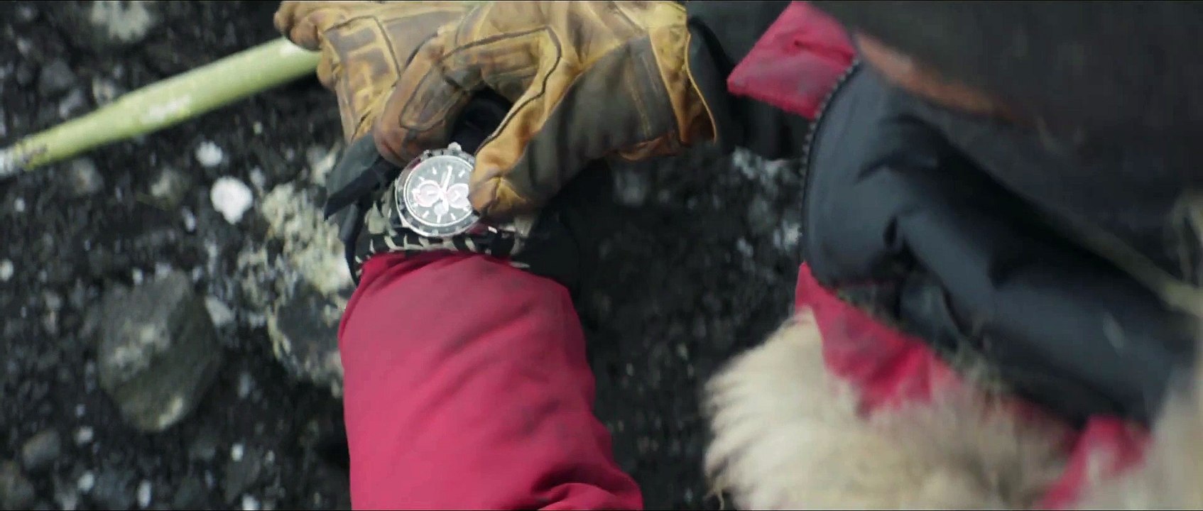 Arctic - Official Trailer (HD)
