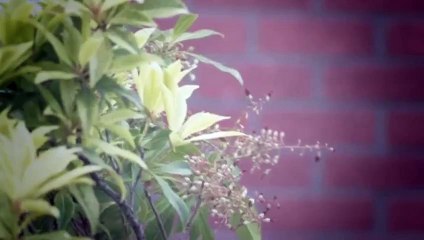 Homes Under the Hammer S18 - Ep28 -. Part 02 HD Watch