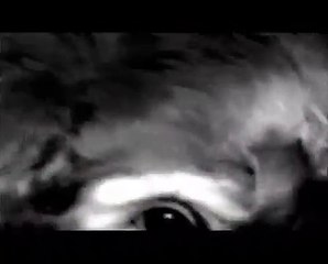 Numéro 1765 (2008) 4mn