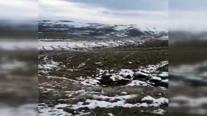 Define arayanlar suçüstü yakalandı - ELAZIĞ