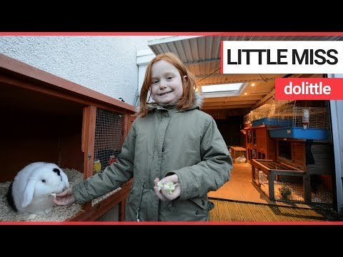 A real-life Dr Doolittle family who keep 46 pets | SWNS TV