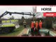 Horse winched out of swimming pool after wandering in on New Year's Eve | SWNS TV