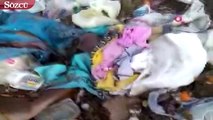 Çöplükte 30’dan fazla ölü köpek bulundu