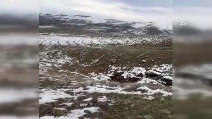 Define Arayanlar Suçüstü Yakalandı