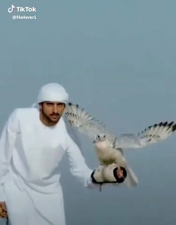 Amazing style of Shaheen