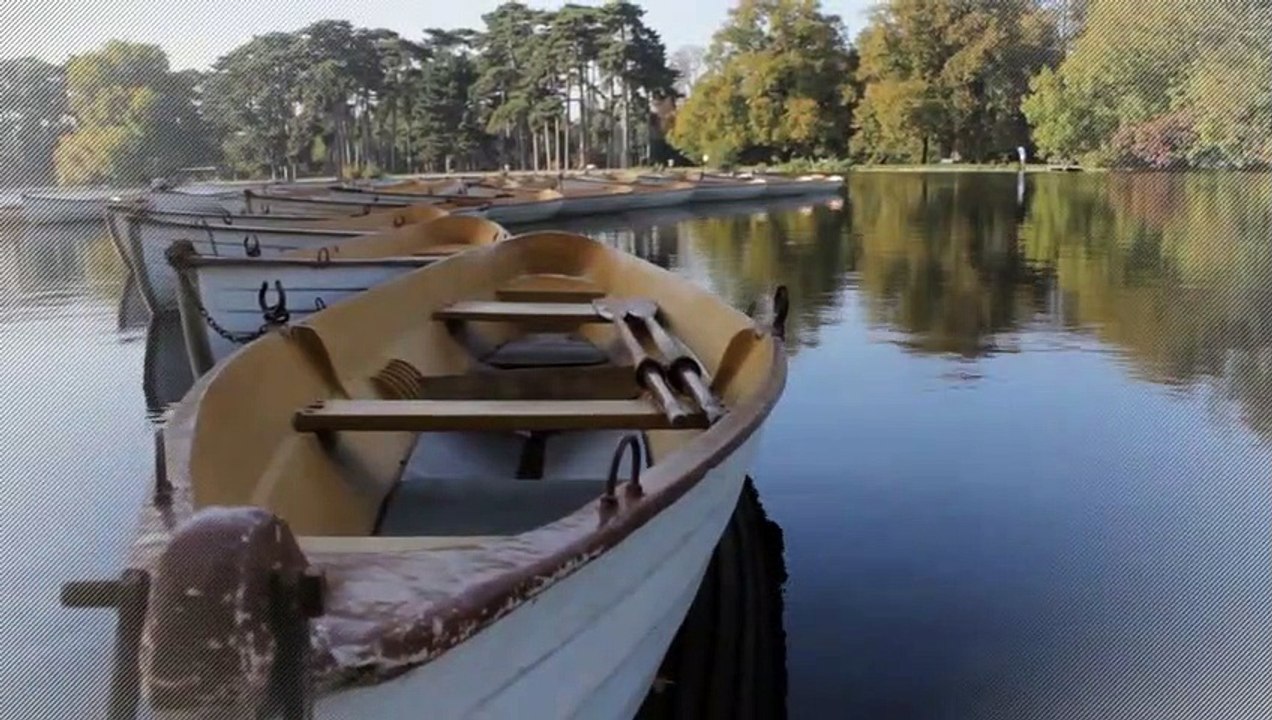 A louer - Appartement - SEREZIN DU RHONE (69360) - 3 pièces - 72m²