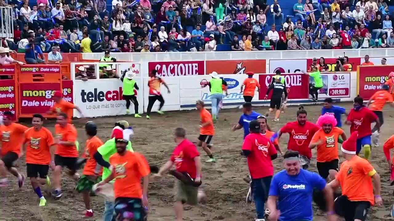 Tourada improvisada