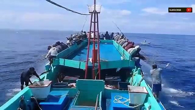 Amazing Fast Tuna Fishing Skill, Too Many Fish! Catching Tuna on The Big Sea[1]