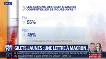 Gilets jaunes: 55% des Français souhaitent que le mouvement se poursuive, selon un nouveau sondage