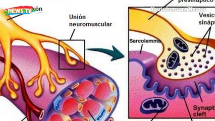 Chất độc VX: Vũ khí ám sát, giết người hàng loạt đáng sợ bậc nhất thế giới