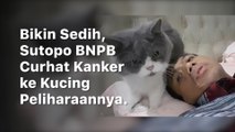 Curhat ke Kucing Peliharaannya, Sutopo : Aku Sakit Pus