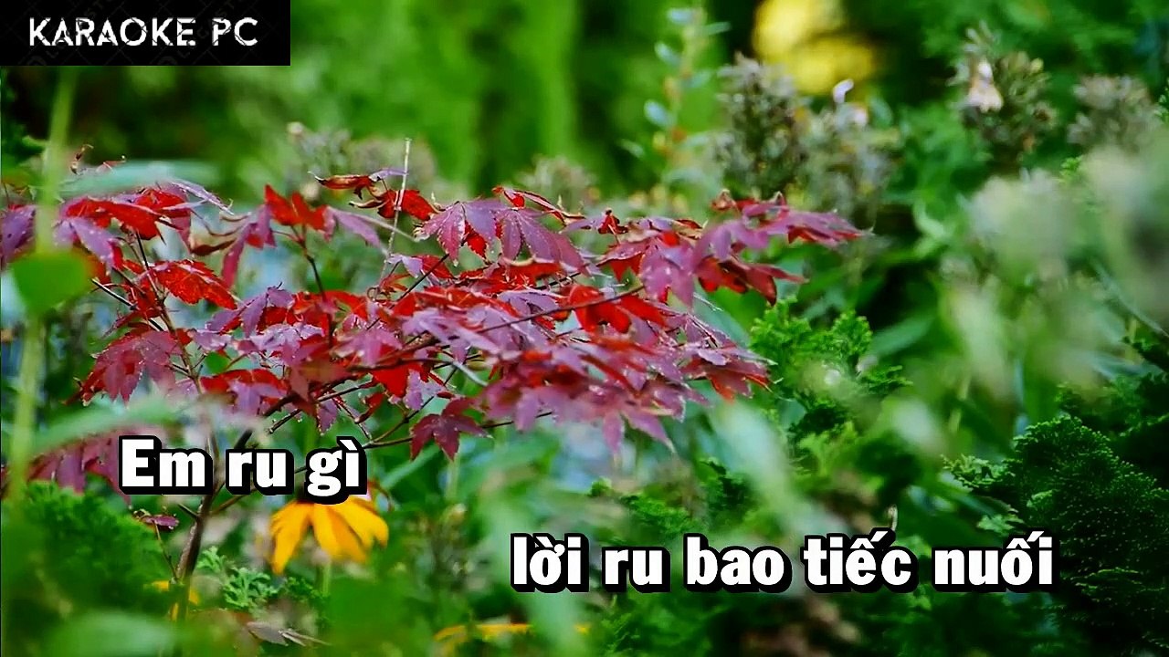 Karaoke Đâu Phải Bởi Mùa Thu - Ngọc Tân