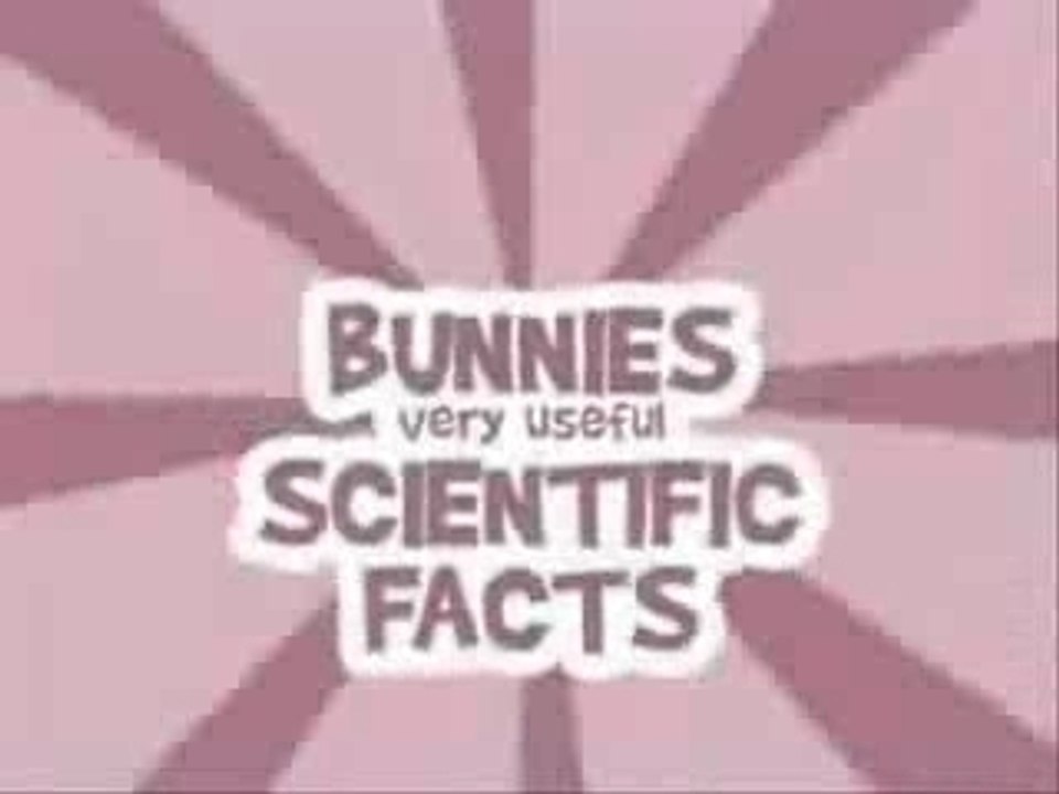 Les lapins crétins n'aiment pas...