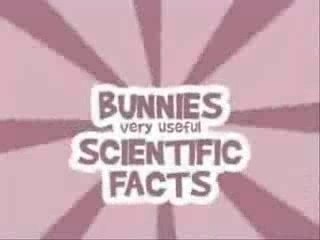 Les lapins crétins n'aiment pas...