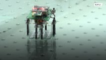 Cientistas chineses criam robô inspirados no Exterminador do Futuro