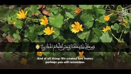 « فَفِرُّوا إِلَى اللَّهِ » خشوع وتجلي للشيخ محمد صديق المنشاوي برواية ورش عن نافع