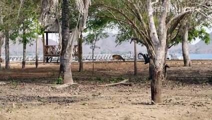 Industri Pariwisata Indonesia Terus Membaik (1)