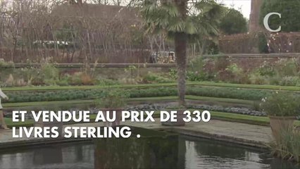 PHOTOS. Quand Victoria Beckham s'inspire d'un look de Meghan Markle pour le Nouvel An