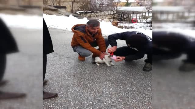 Kafası Konserve Kutusuna Sıkışan Kedi Kurtarıldı