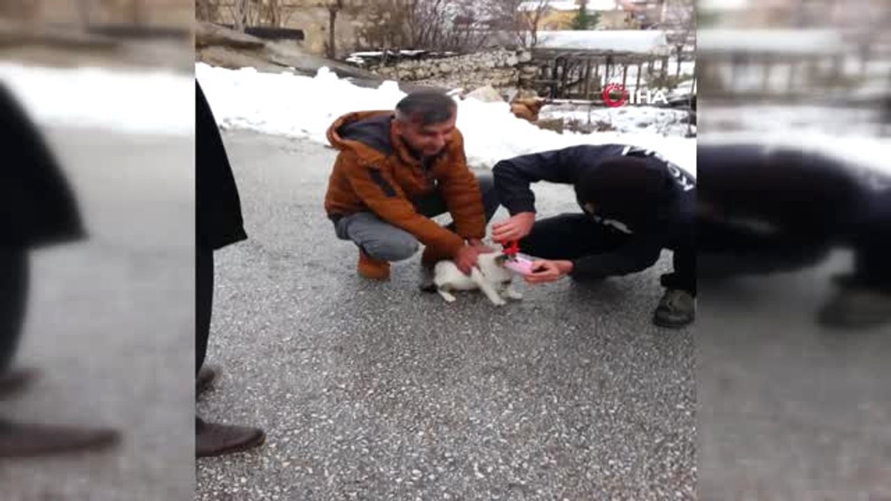 Kafası Konserve Kutusuna Sıkışan Kedi Kurtarıldı