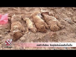 sanook daily 30 เมษายน 2557