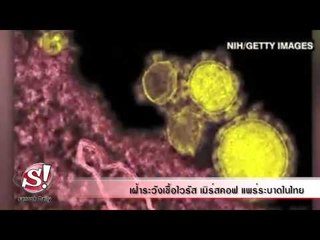 sanook daily 18 เมษายน 2557