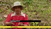 Bolivia's bees threatened by coca farmers' pesticides