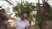 WTA - Simona Halep prend un selfie avec un koala