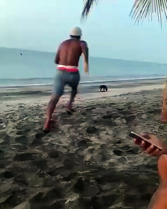 Cet homme va s'en prendre a un chien mais et se fait punir par le Karma !