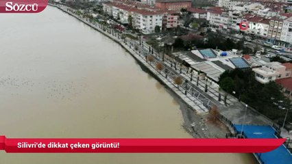Silivri'de dikkat çeken görüntü!
