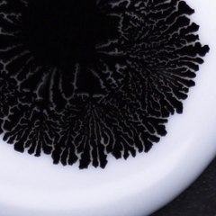 Seven Easy Experiments That Will Have Your Mind Boggled