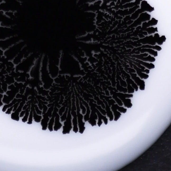 Seven Easy Experiments That Will Have Your Mind Boggled