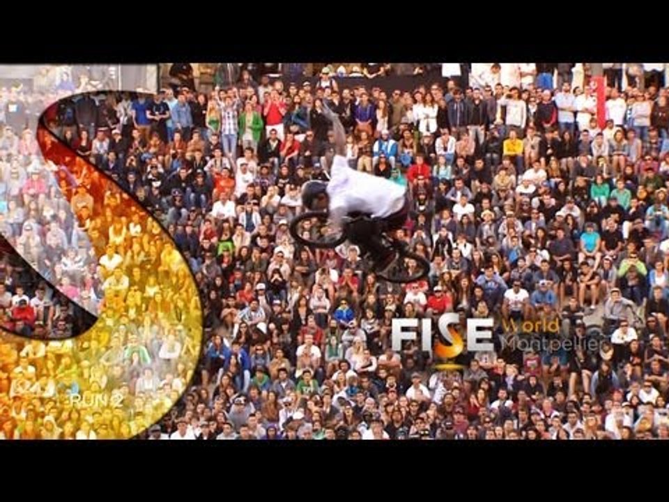 Logan Martin - 1st Final BMX Park - FISE World Montpellier 2013