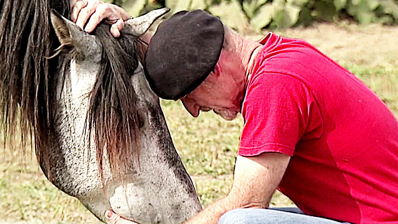 Peter Pfister: Der Pferdemann - Trailer (Deutsch) HD