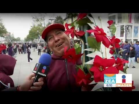Millones de peregrinos llegaron a Basílica de Guadalupe; dejan 500 toneladas de basura | Paco Zea