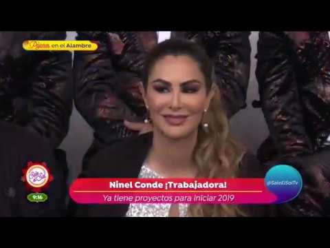 ¿Ninel Conde tiene problemas con los Mascabrothers? | Sale el Sol