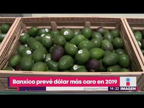 Banxico prevé que el dólar sea más caro en 2019 | Noticias con Yuriria Sierra