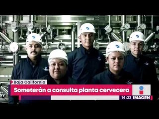 Someterán a consulta planta cervecera | Noticias con Yuriria Sierra