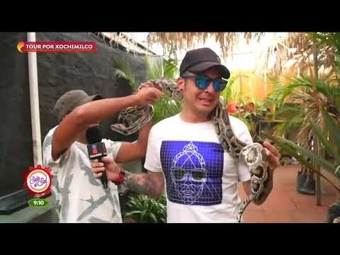 Trajineras, flora, fauna, mariachi y mucha diversión en Xochimilco | Sale el Sol