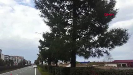 Rize Karadeniz'de Fırtına, Minare Yıktı, Çatıları Uçurdu