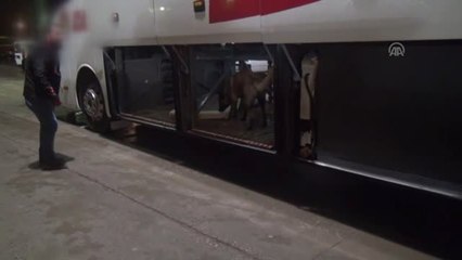 Yolcu Otobüsünde Uyuşturucu Ele Geçirildi