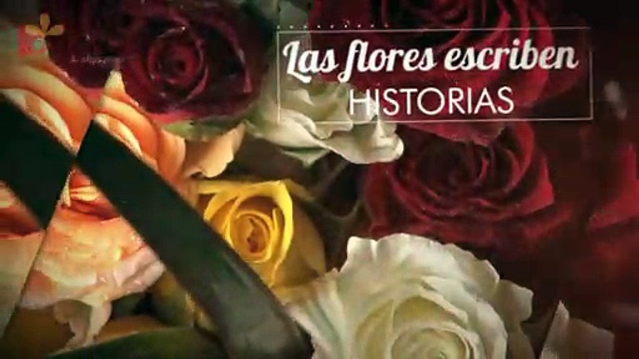 Floresyalgomas.cl Video promocional Servicio Delivery Flores Chile