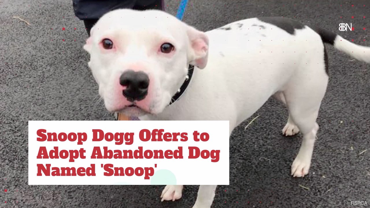 Snoop Dogg Saves A Snoop Dog